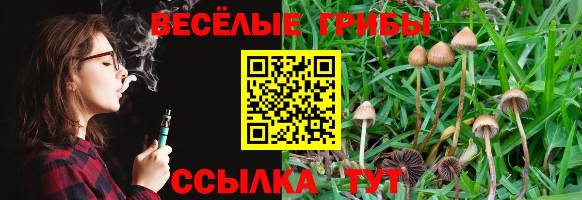 Псилоцибиновые грибы ЛСД Кольчугино