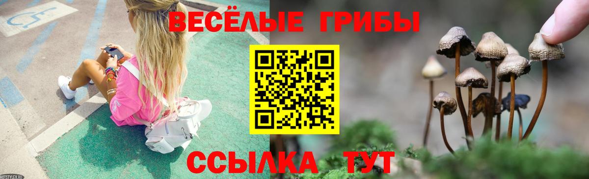 Псилоцибиновые грибы Cubensis  Вход с VPN  Кольчугино 
